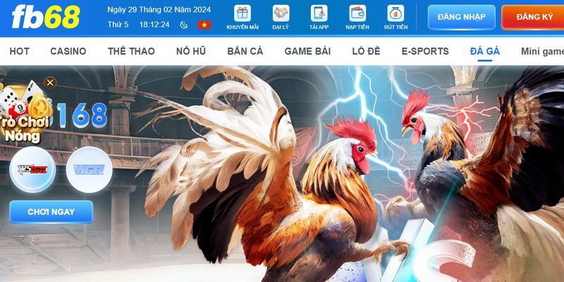 Tham gia đá gà sư kê sẽ được trải nghiệm những trận đấu chất lượng cao