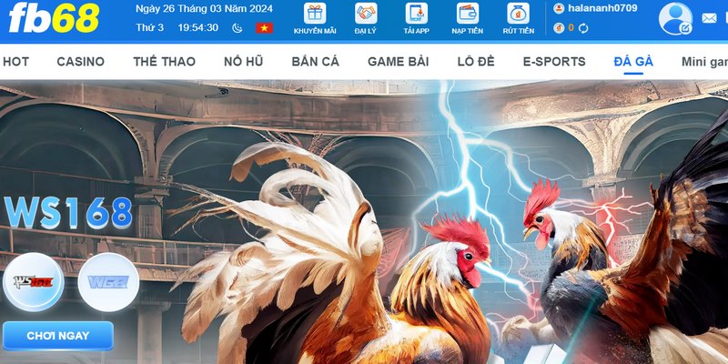 Cách khắc phục khi gặp lỗi xuất hiện tại fb68 nhất định bet thủ phải biết