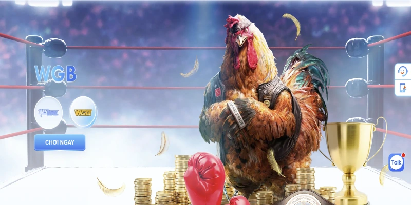 Luật chơi đá gà WGB FB68 chi tiết cho bet thủ