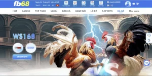 Giới thiệu về sảnh đá gà trực tuyến WGB FB68