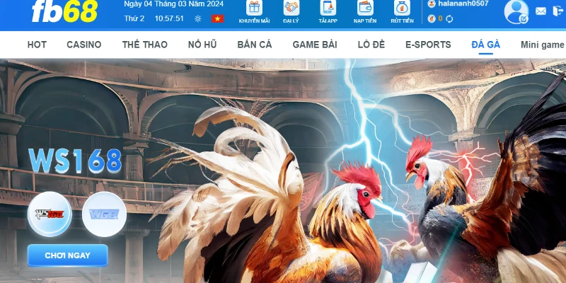 WS168 FB68 là một trong những sảnh đá gà đặc biệt ấn tượng với người chơi
