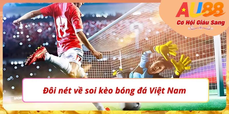 Điểm đặc biệt khi chọn soi kèo bóng đá Việt Nam